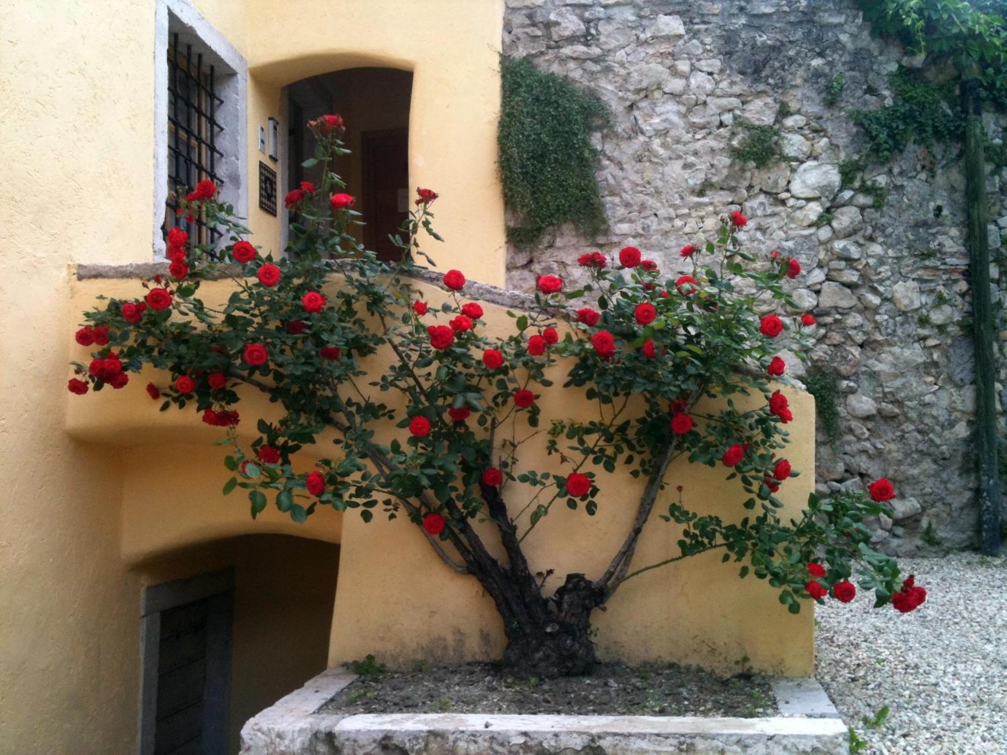 Hotel Relais Palazzo Lodron Rovereto  Exterior foto